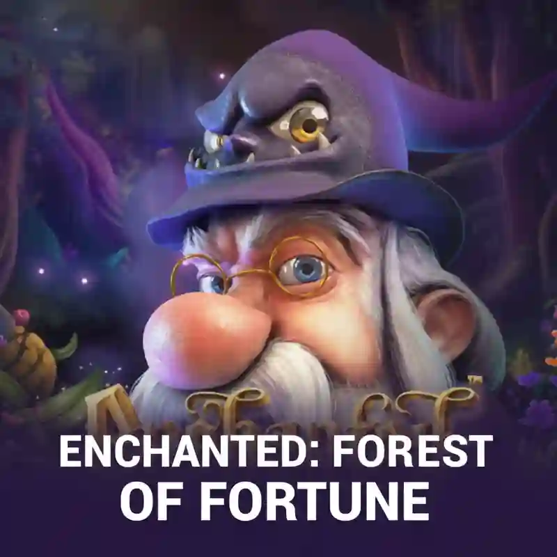 Enchanted Forest